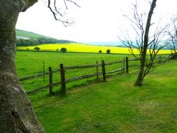 countryside fields in england