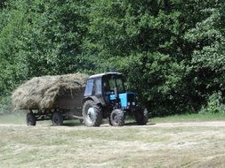 blue tractor with hay in a trailer on the field