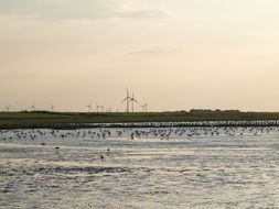 coast of east frisia on the north sea
