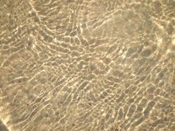 Beautiful water waves with the shine
