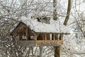 snow-covered birdhouse