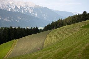 landscape of mowing on a mountain field