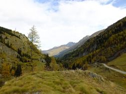 green alpine mountains in switzerland
