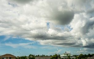 white clouds in the sky in florida