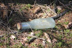 an empty bottle lies on the ground