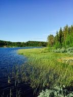 Blue lake in Sweden