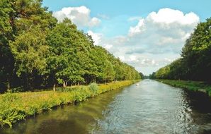 channel in green forest summer season