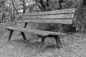 weathered wooden bench in park, Black and white