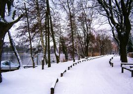 city park in winter in Berlin
