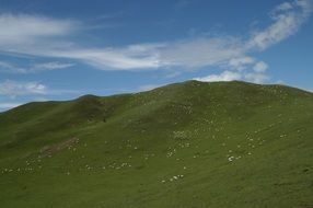 blue sky and green grass meadow