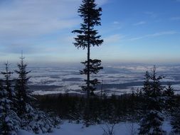 wonderful panorama landscape
