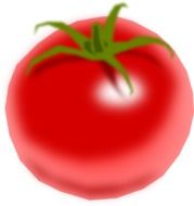 tomato vegetable drawed