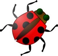 Red ladybug in wildlife clipart