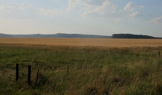 peaceful landscape of a rural field