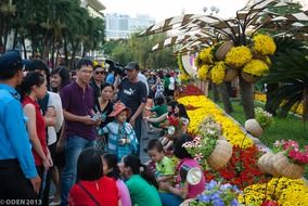 crowded park at the time of flowering