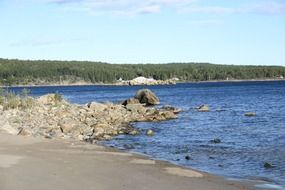 wild shoreline at summer, sweden