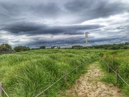 road along green fields