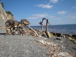 sea stones mammoth