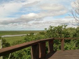 Landscape of the bridge in summer