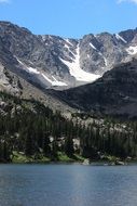 forest on background of the mountains in Colorado