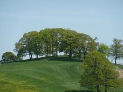 picturesque meadows in vaals