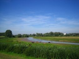 idyllic river in Holland