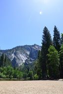 green forest on a background of mountains in a national park in Ð¡alifornia