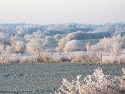 frost on trees in the countryside