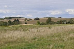 fields on hills at summer, poland