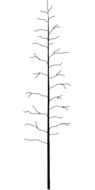 illustration of the leafless tree