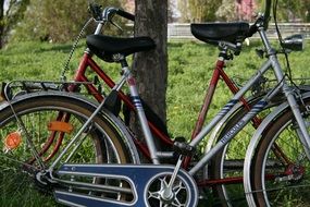 mauerpark Berlin, bike