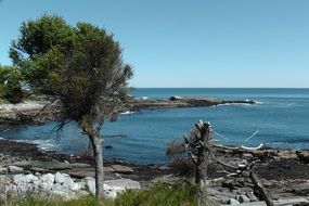 picturesque coastline of the Atlantic Ocean on a sunny day
