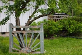 Picture of the garden