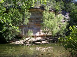 landscape of creek near a rock in texas