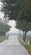 Picture of street boundary pillar