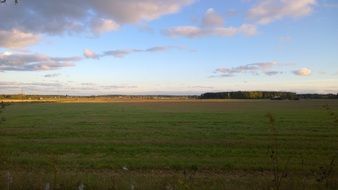 Green field in summertime