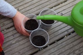 green watering can for plants