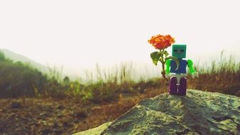 Lego Toy with the flower on the landscape