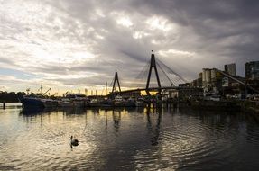 pelican by the port