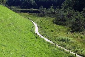 dirt road along the pasture