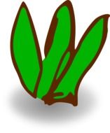 spring grass, grunge illustration