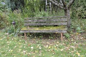 wooden abandoned bench in the garden