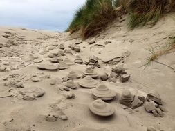 sand dune near the sea