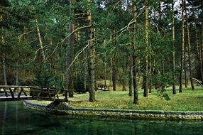beautiful landscape of a quiet lake in the park