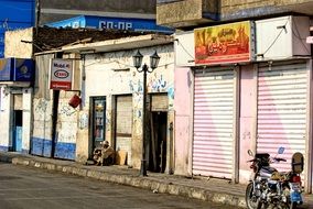 summer on a city street in egypt