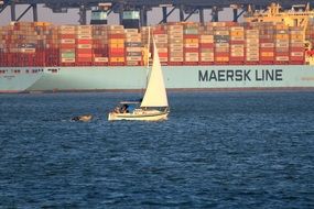 sailing boat near container port