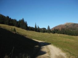 Road to the Valley in the scenic mountains of Bavaria
