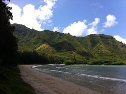 tropical ocean beach