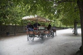 carriage in the park in fontainebleau