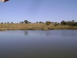 pond in Brazil